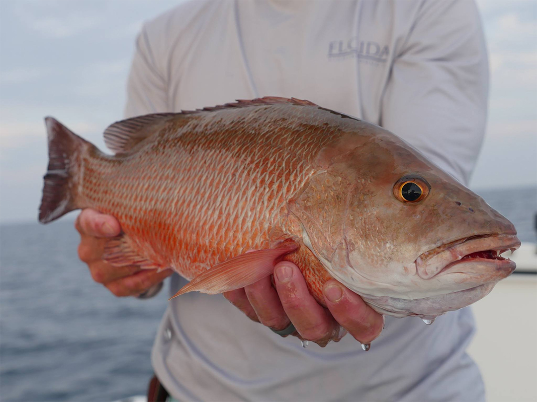 Bay Fishing Guides Panama City Inshore